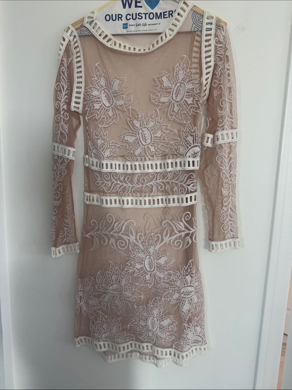 For Love & Lemons Beige Sheer Lace Long Sleeve Mini Dress with White Embroidery